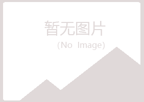 青山区路口制造有限公司